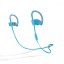 Beats Powerbeats2 Wireless