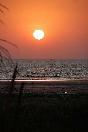 Słownik ponad 200 słów łacińskich