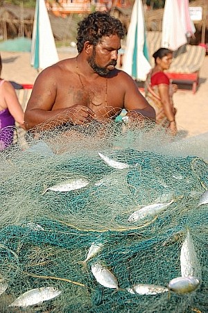 Programy i edytory układu elektronicznego